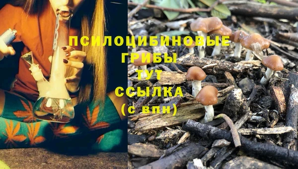 соль курить ск Алзамай