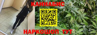 экстази Гай
