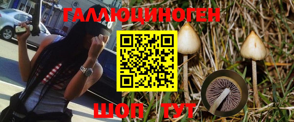 Краснознаменск  Галлюциногенные грибы Psilocybine cubensis  Вход с VPN 