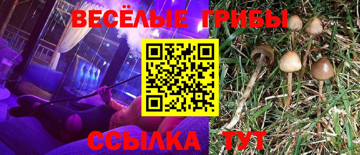 Псилоцибиновые грибы Magic Shrooms Краснознаменск
