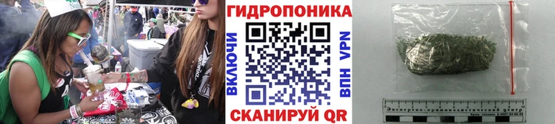 МАРИХУАНА MAZAR  где найти   ссылка на мегу рабочий сайт  Краснознаменск 
